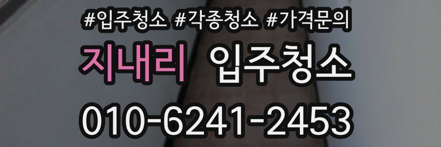 지내리 이사청소