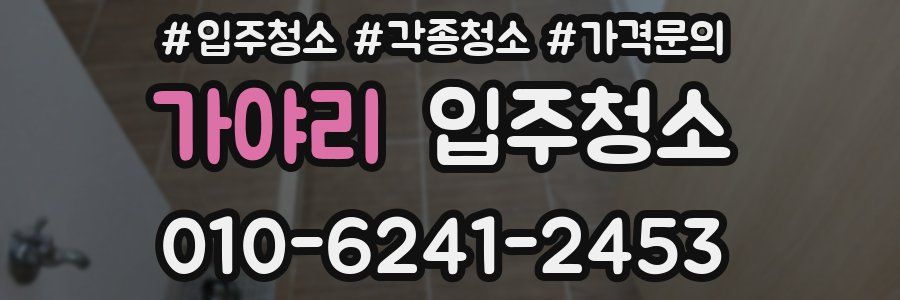 가야리 이사청소