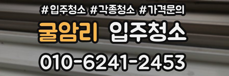 굴암리 이사청소