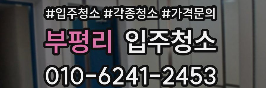 부평리 이사청소