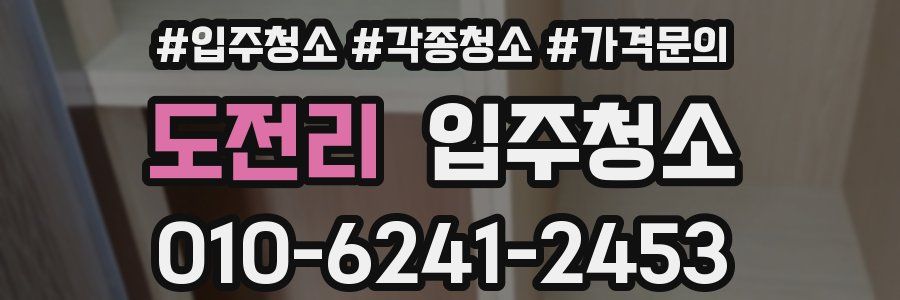 도전리 이사청소