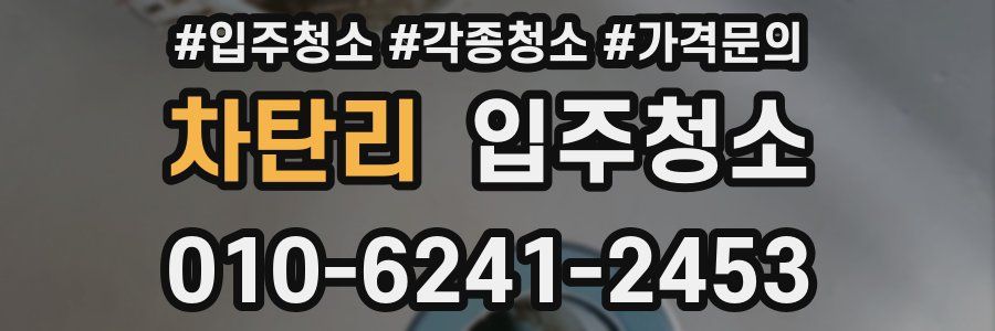 차탄리 이사청소