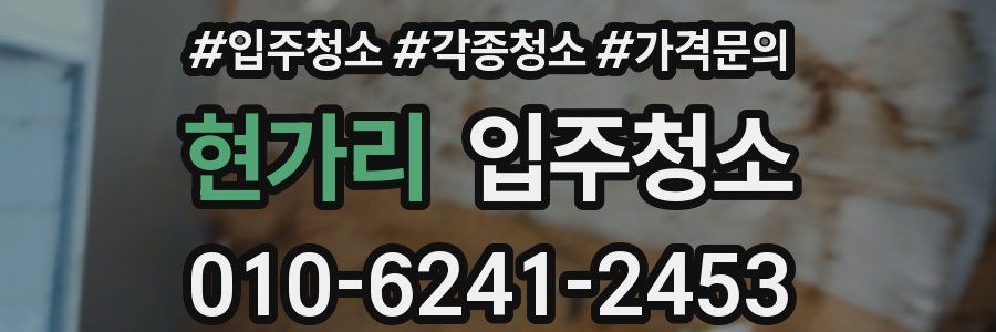 현가리 이사청소