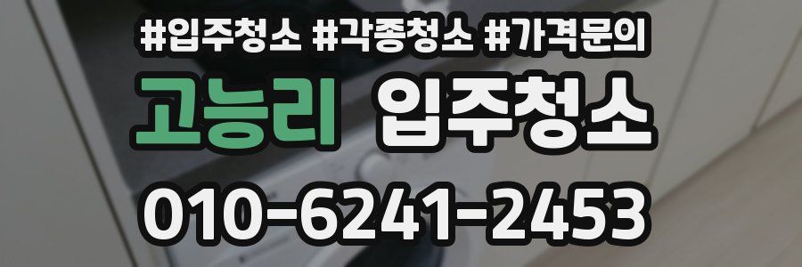 고능리 이사청소