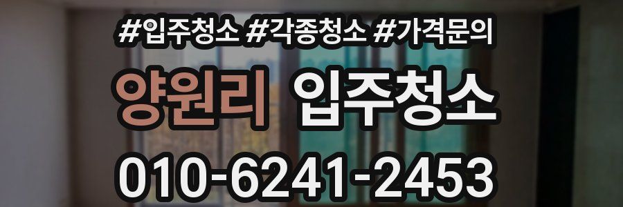 양원리 이사청소