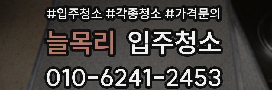 늘목리 이사청소