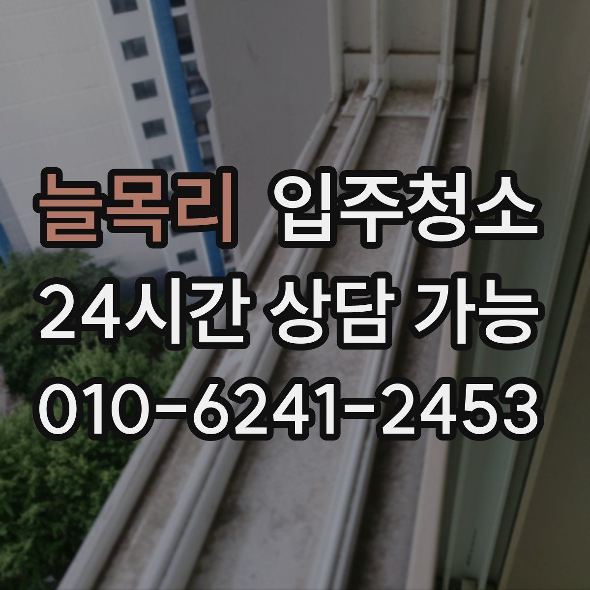 늘목리 원룸청소