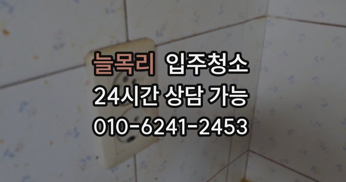 늘목리 입주청소