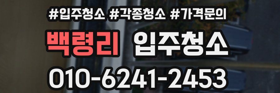 백령리 이사청소