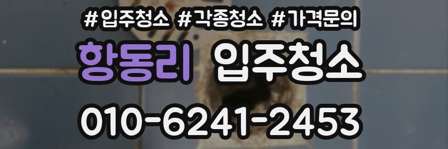 항동리 이사청소