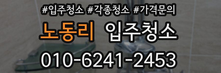 노동리 이사청소