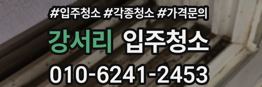 강서리 이사청소