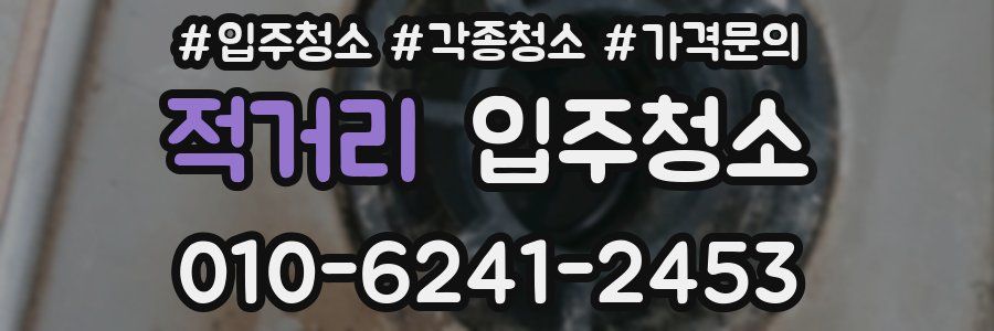 적거리 이사청소