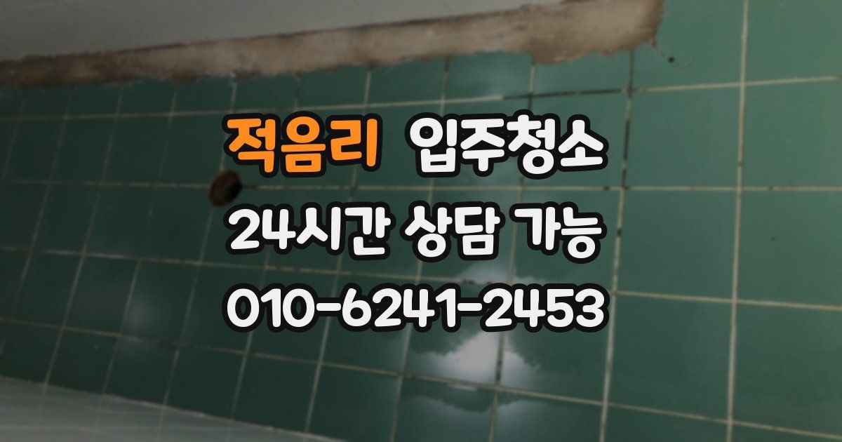 적음리 입주청소