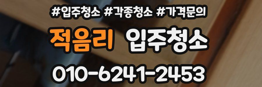 적음리 이사청소