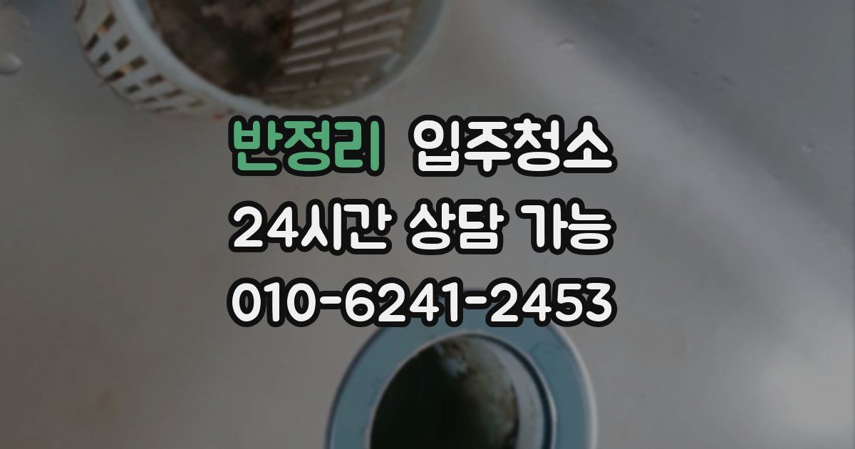 반정리 입주청소