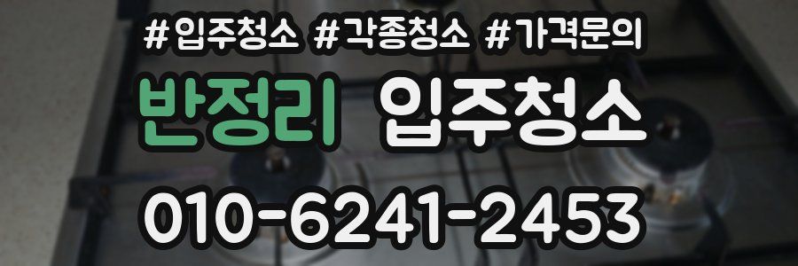 반정리 이사청소