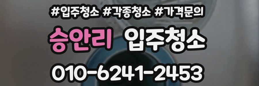 승안리 이사청소