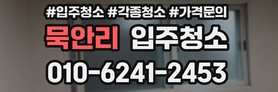 묵안리 이사청소