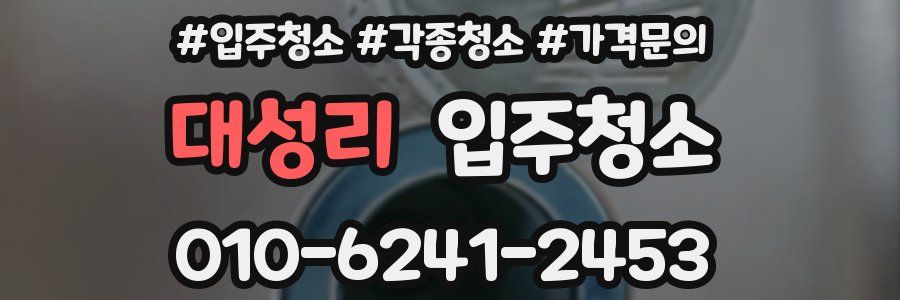 대성리 이사청소