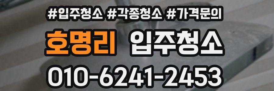 호명리 이사청소