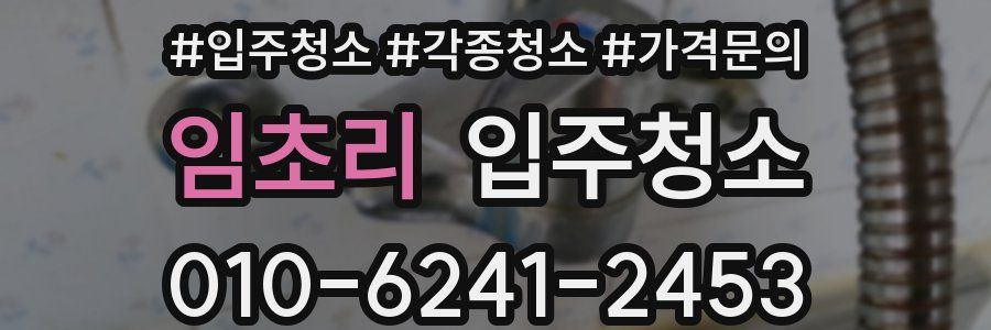 임초리 이사청소