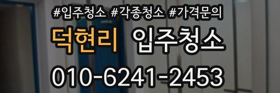 덕현리 이사청소