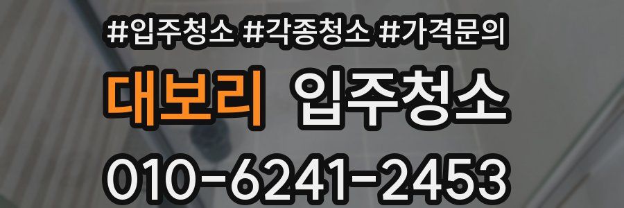 대보리 이사청소