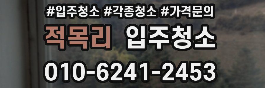 적목리 이사청소