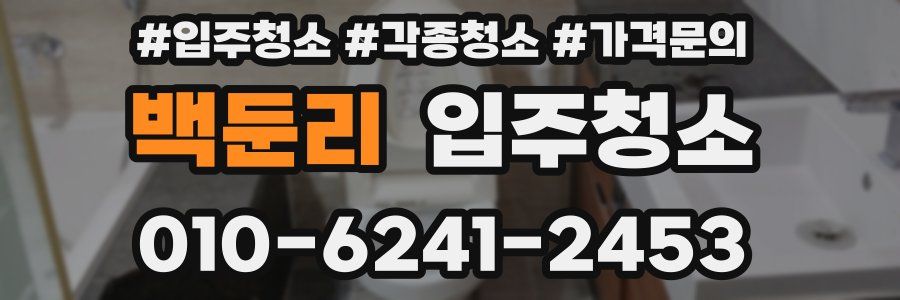 백둔리 이사청소