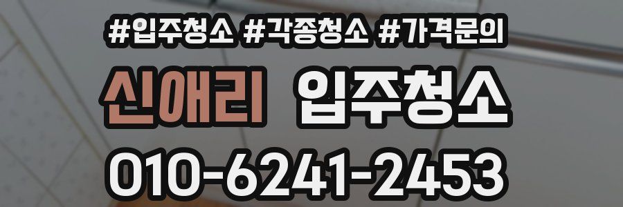 신애리 이사청소