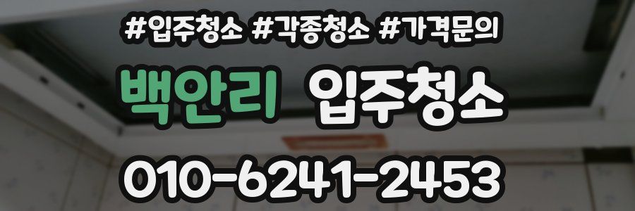 백안리 이사청소