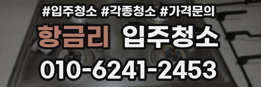 항금리 이사청소