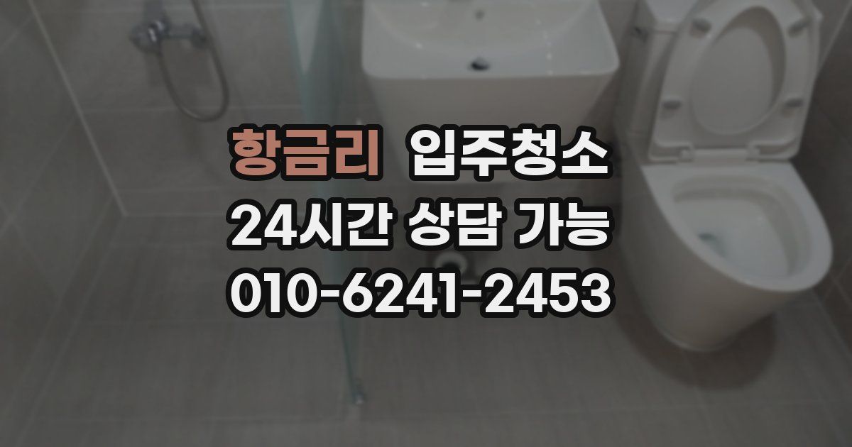 항금리 입주청소