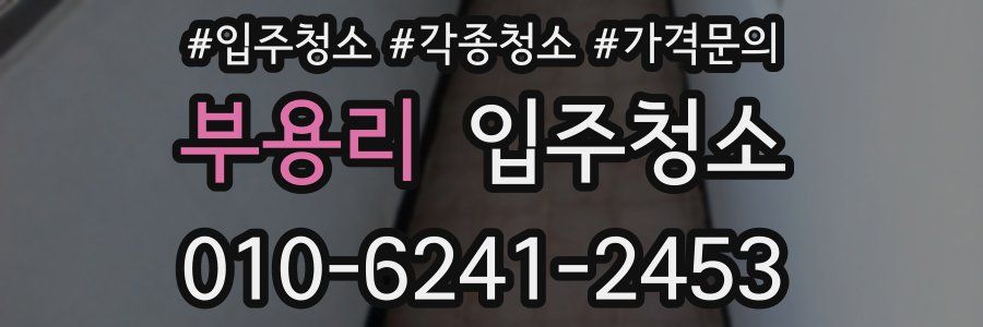 부용리 이사청소