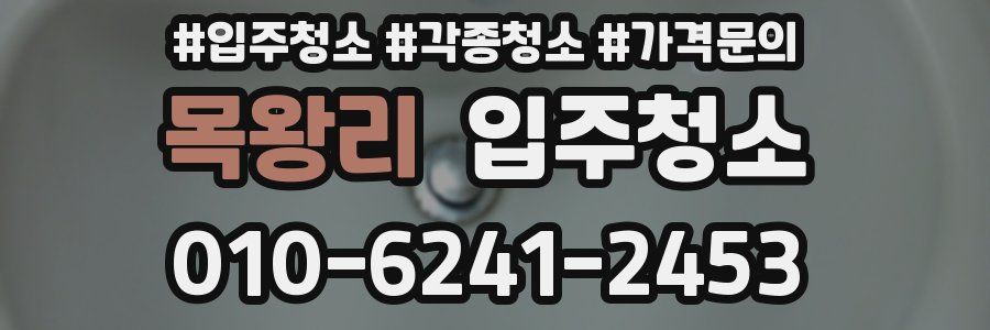 목왕리 이사청소