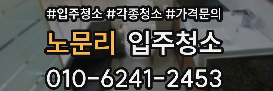 노문리 이사청소