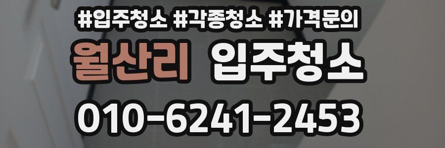 월산리 이사청소