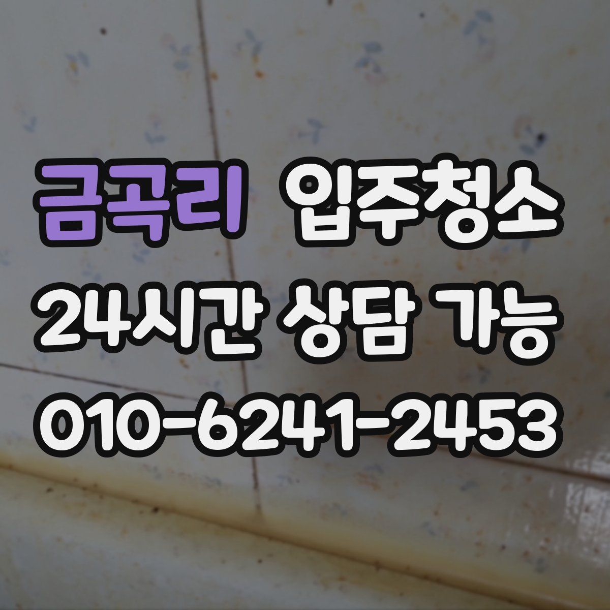 금곡리 원룸청소