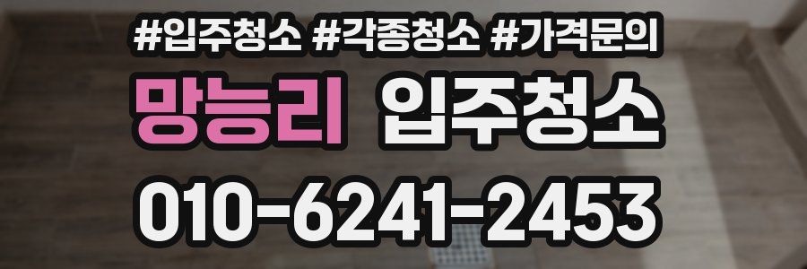 망능리 이사청소