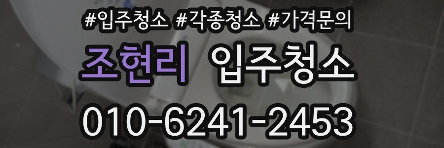 조현리 이사청소