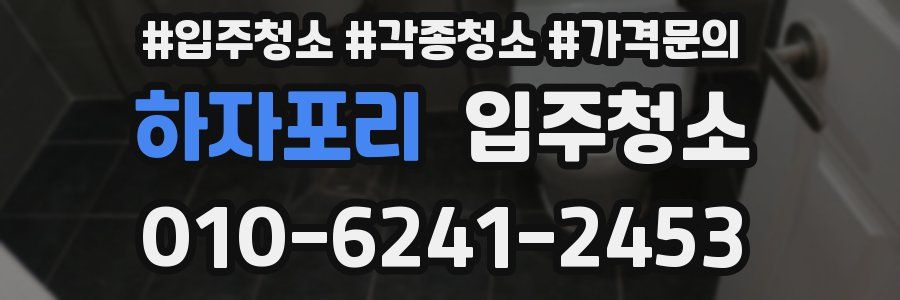 하자포리 이사청소