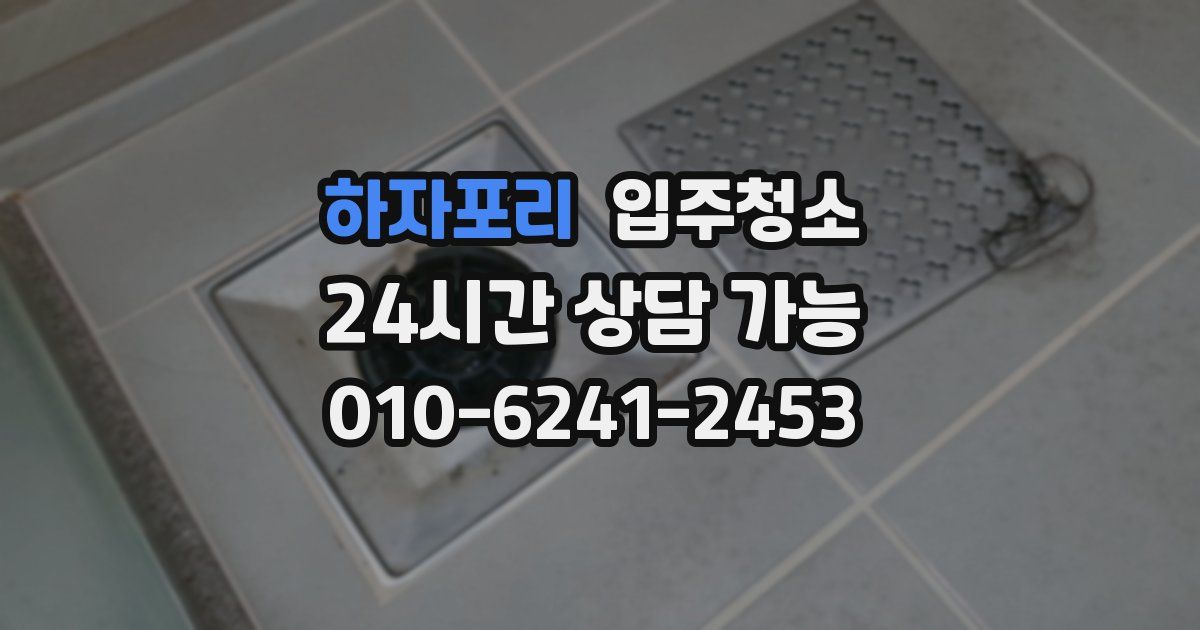 하자포리 입주청소