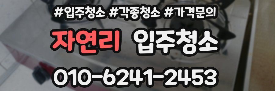 자연리 이사청소