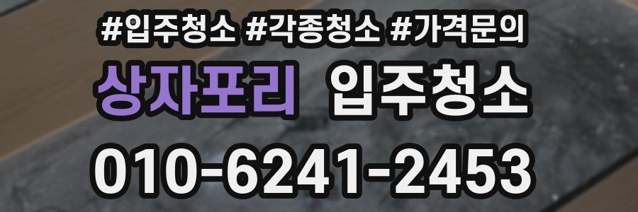 상자포리 이사청소