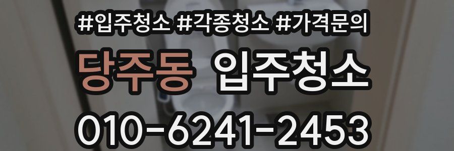 당주동 이사청소