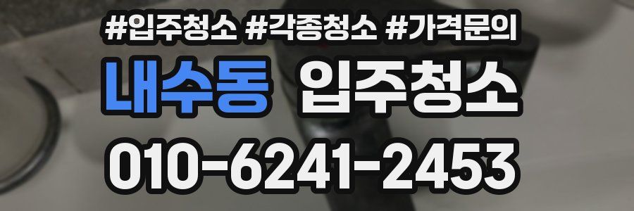 내수동 이사청소