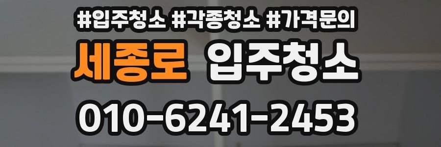 세종로 이사청소