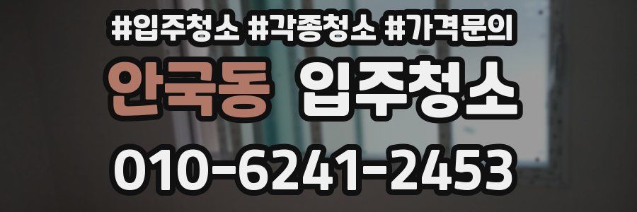 안국동 이사청소