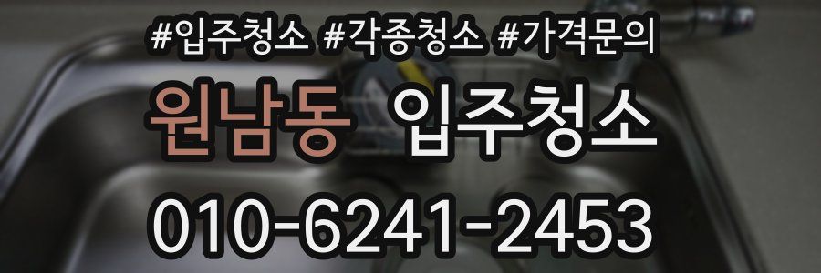 원남동 이사청소